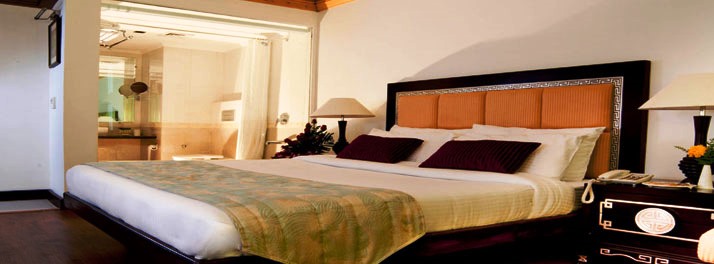 334/Citrus Manali Resort - Manali 014.jpg